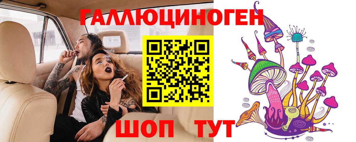 Чебоксары  Галлюциногенные грибы Psilocybe  Вход с VPN  Псилоцибиновые грибы GOLDEN TEACHER 